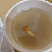 ヒメ日記 2025/10/29 21:19 投稿 つくし ダイスキ