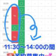 ヒメ日記 2025/10/30 11:10 投稿 つくし ダイスキ