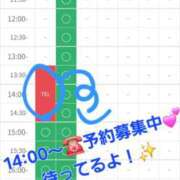 ヒメ日記 2025/11/04 13:37 投稿 つくし ダイスキ