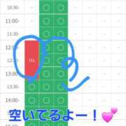 ヒメ日記 2025/11/07 12:18 投稿 つくし ダイスキ