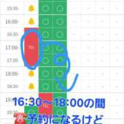 ヒメ日記 2025/11/07 15:44 投稿 つくし ダイスキ