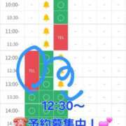 ヒメ日記 2025/11/14 12:36 投稿 つくし ダイスキ