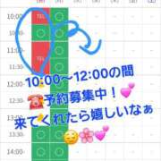 ヒメ日記 2025/11/16 09:30 投稿 つくし ダイスキ