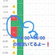 ヒメ日記 2025/11/21 13:23 投稿 つくし ダイスキ
