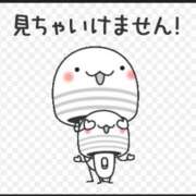 ヒメ日記 2025/11/24 20:17 投稿 つくし ダイスキ