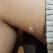 ヒメ日記 2025/11/29 14:42 投稿 つくし ダイスキ