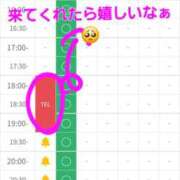 ヒメ日記 2025/11/29 18:31 投稿 つくし ダイスキ