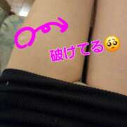 ヒメ日記 2025/12/02 13:30 投稿 つくし ダイスキ