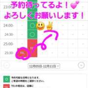 ヒメ日記 2025/12/06 01:51 投稿 つくし ダイスキ