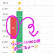 ヒメ日記 2025/12/09 12:25 投稿 つくし ダイスキ