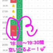ヒメ日記 2025/12/11 16:35 投稿 つくし ダイスキ