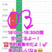 ヒメ日記 2025/12/11 18:00 投稿 つくし ダイスキ