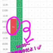 ヒメ日記 2025/12/13 14:21 投稿 つくし ダイスキ