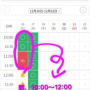 ヒメ日記 2025/12/16 09:02 投稿 つくし ダイスキ