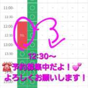 ヒメ日記 2025/12/17 12:12 投稿 つくし ダイスキ