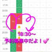 ヒメ日記 2025/12/17 18:35 投稿 つくし ダイスキ