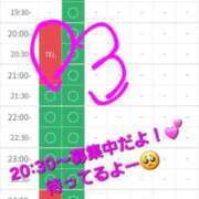 ヒメ日記 2025/12/20 20:26 投稿 つくし ダイスキ