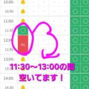 ヒメ日記 2025/12/22 09:52 投稿 つくし ダイスキ