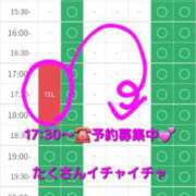 ヒメ日記 2025/12/22 17:25 投稿 つくし ダイスキ
