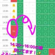 ヒメ日記 2025/12/23 12:28 投稿 つくし ダイスキ
