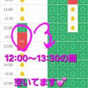 ヒメ日記 2025/12/24 10:40 投稿 つくし ダイスキ