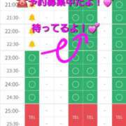 ヒメ日記 2025/12/24 21:31 投稿 つくし ダイスキ