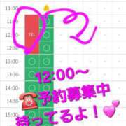 ヒメ日記 2026/01/27 11:50 投稿 つくし ダイスキ
