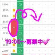 ヒメ日記 2026/01/31 18:45 投稿 つくし ダイスキ