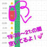 ヒメ日記 2026/02/03 18:03 投稿 つくし ダイスキ
