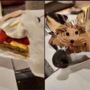 ヒメ日記 2026/02/04 08:01 投稿 つくし ダイスキ