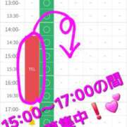 ヒメ日記 2026/02/17 14:56 投稿 つくし ダイスキ