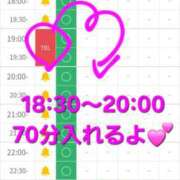 ヒメ日記 2026/02/18 17:24 投稿 つくし ダイスキ