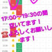 ヒメ日記 2026/03/03 16:47 投稿 つくし ダイスキ