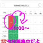 ヒメ日記 2026/03/06 10:07 投稿 つくし ダイスキ