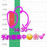 ヒメ日記 2026/03/07 14:30 投稿 つくし ダイスキ