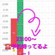 ヒメ日記 2026/03/07 22:44 投稿 つくし ダイスキ