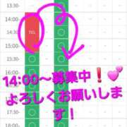 ヒメ日記 2026/03/08 14:20 投稿 つくし ダイスキ