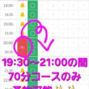 ヒメ日記 2026/03/14 17:51 投稿 つくし ダイスキ