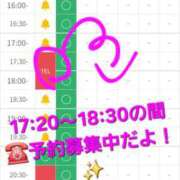 ヒメ日記 2026/03/17 15:36 投稿 つくし ダイスキ