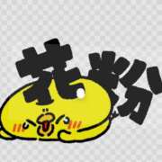 ヒメ日記 2026/03/18 11:38 投稿 つくし ダイスキ