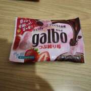 ヒメ日記 2026/03/20 13:28 投稿 つくし ダイスキ