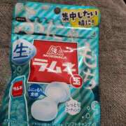 ヒメ日記 2026/03/20 21:25 投稿 つくし ダイスキ