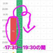 ヒメ日記 2026/03/23 17:29 投稿 つくし ダイスキ