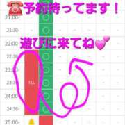 ヒメ日記 2026/03/28 22:37 投稿 つくし ダイスキ