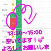 ヒメ日記 2026/03/30 12:11 投稿 つくし ダイスキ