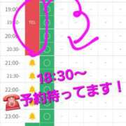 ヒメ日記 2026/04/06 18:33 投稿 つくし ダイスキ