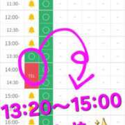 ヒメ日記 2026/04/08 10:01 投稿 つくし ダイスキ