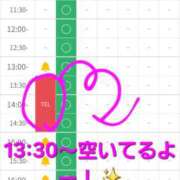 ヒメ日記 2026/04/08 13:10 投稿 つくし ダイスキ