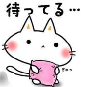 ヒメ日記 2026/04/14 21:07 投稿 つくし ダイスキ