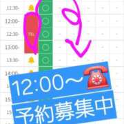 ヒメ日記 2026/04/16 11:34 投稿 つくし ダイスキ